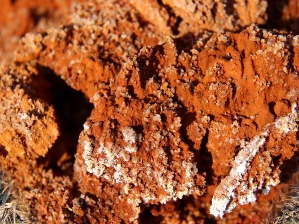 Source de Sainte Marguerite ,Puy de Dôme ..auvergne