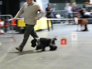 Offenburg 2012 Floyd