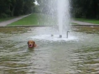 Karlsruhe, Allemagne : chien & fontaine