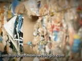 Patrimônio Ecologia   Cooperativa dos Catadores de Lixo