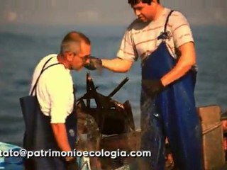 Patrimonio Ecologia - Pesca Artesanal