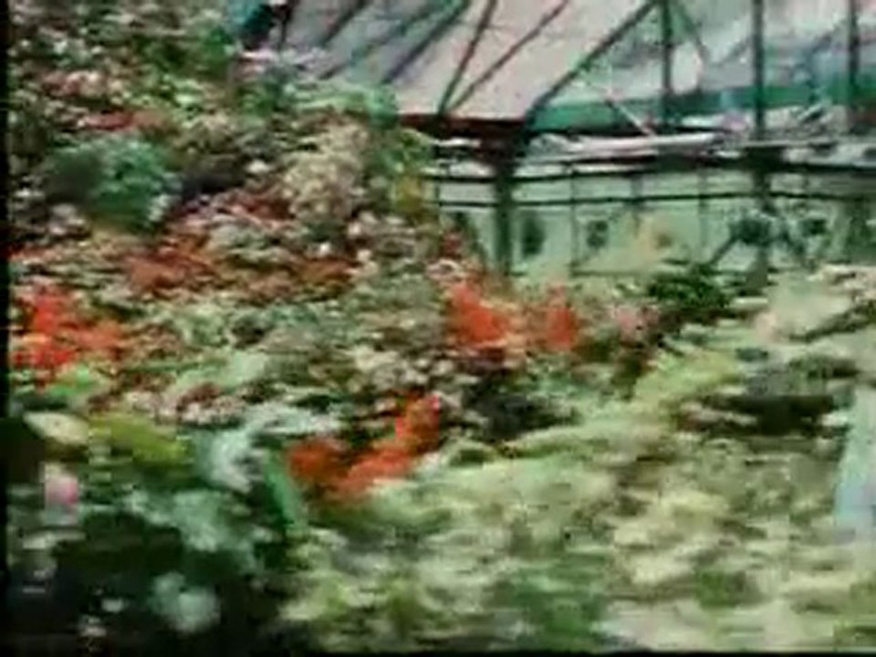 Mugam Enna Mogam Enna HQ...PAKEE Creation