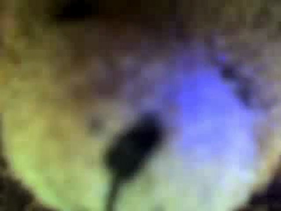 Bienvenue parmi nous Becker Chesnais