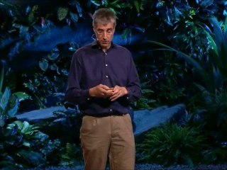 Vitamin For Brain Supplement | Daniel Wolpert-Part-6