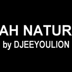 Jah Nature by Djeeyoulion Urban Jungl'Art