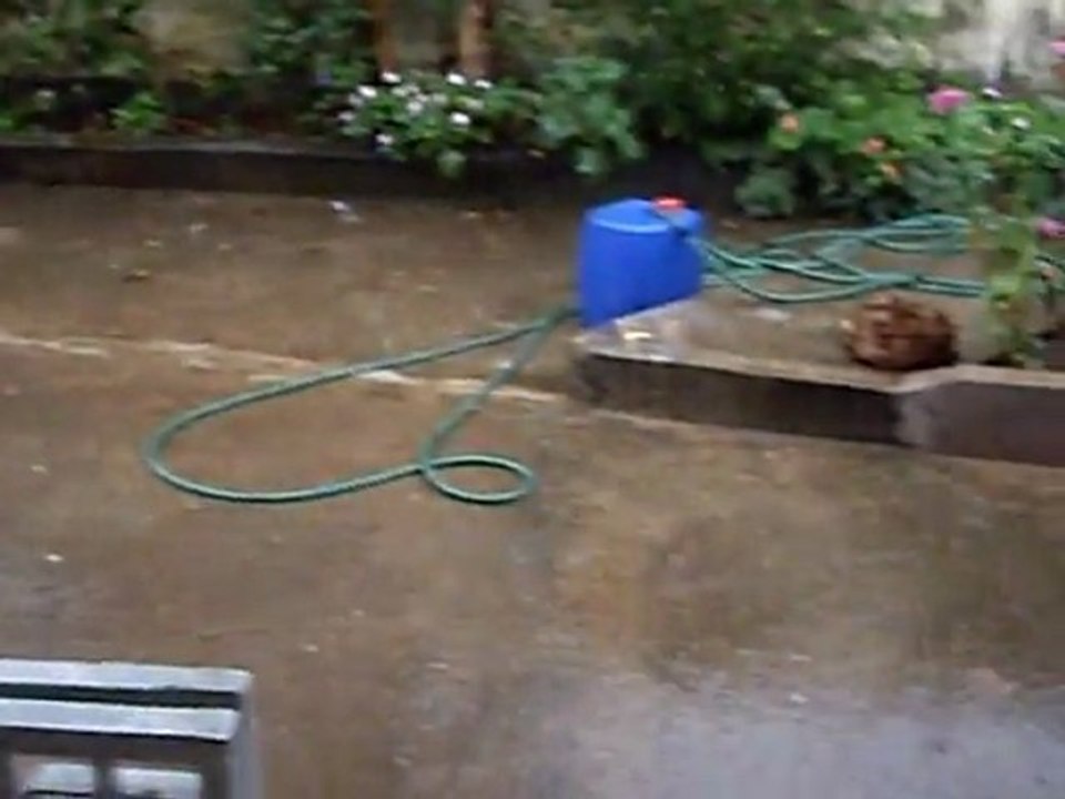IMGP2109