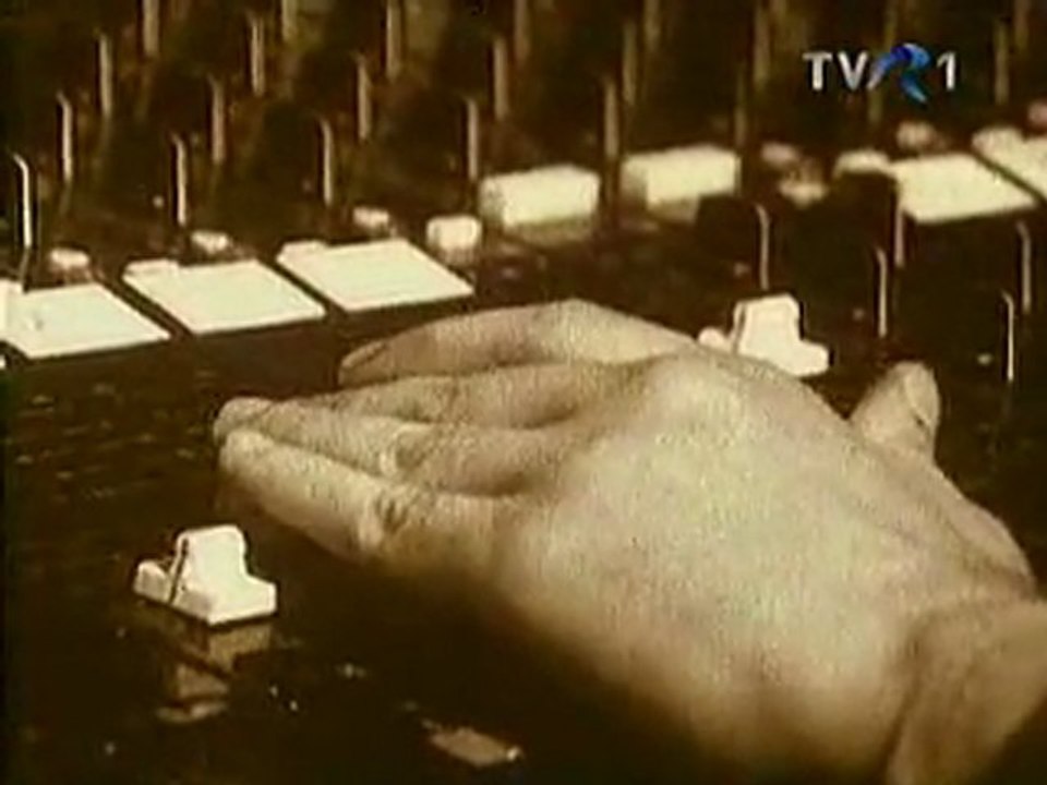 Ion Dolanescu arhiva