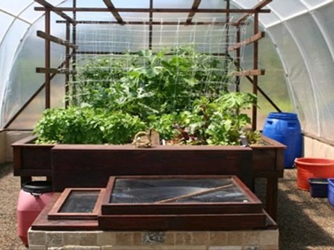 The Ultimate Strategy For how to Build Aquaponics Systems