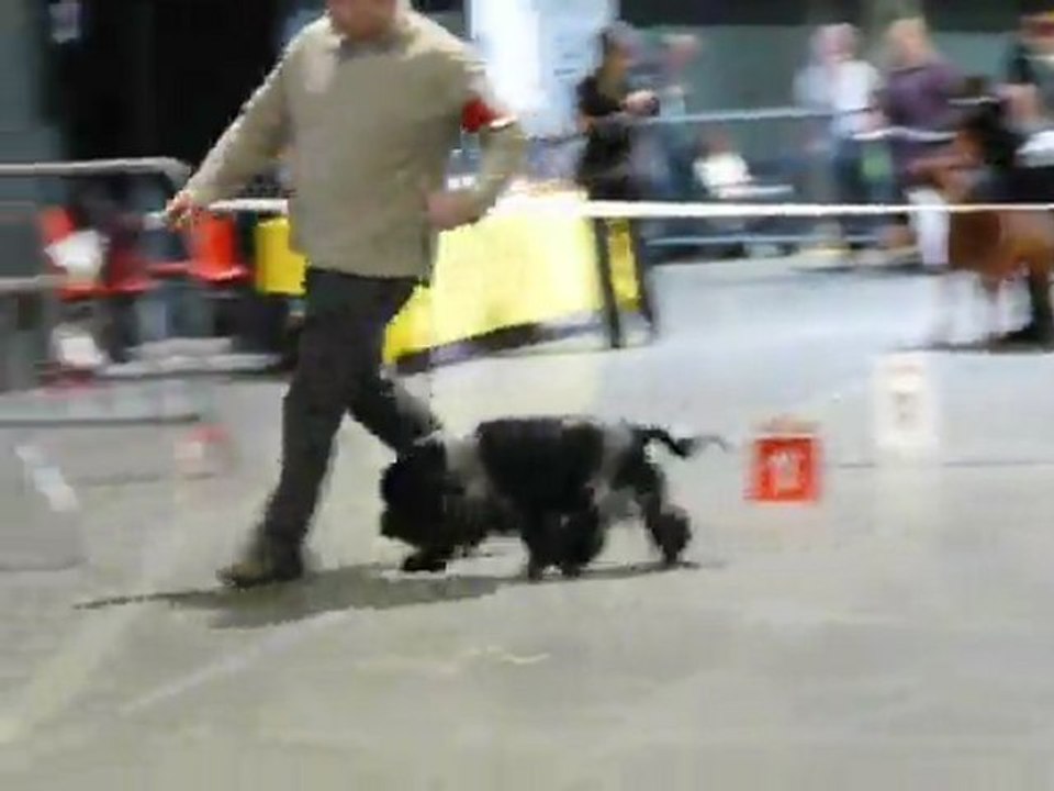 Offenburg 2012 037