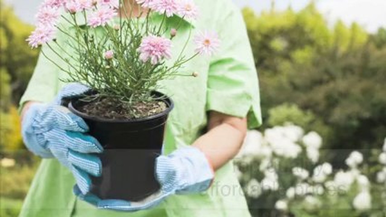 Garden Supplies Bayswater Down Under Plastics Pty Ltd WA