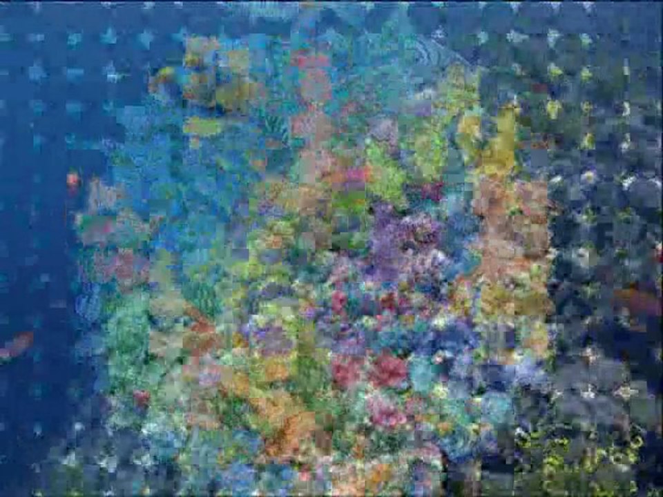 Mandala Morza