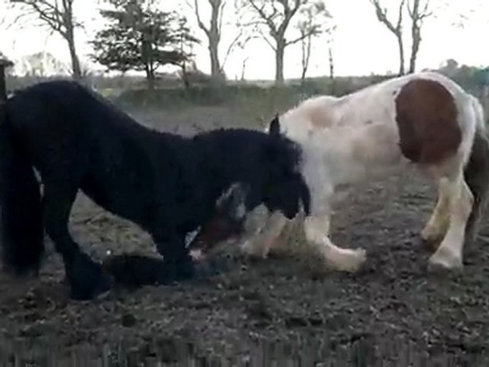Alane et son pote Athé