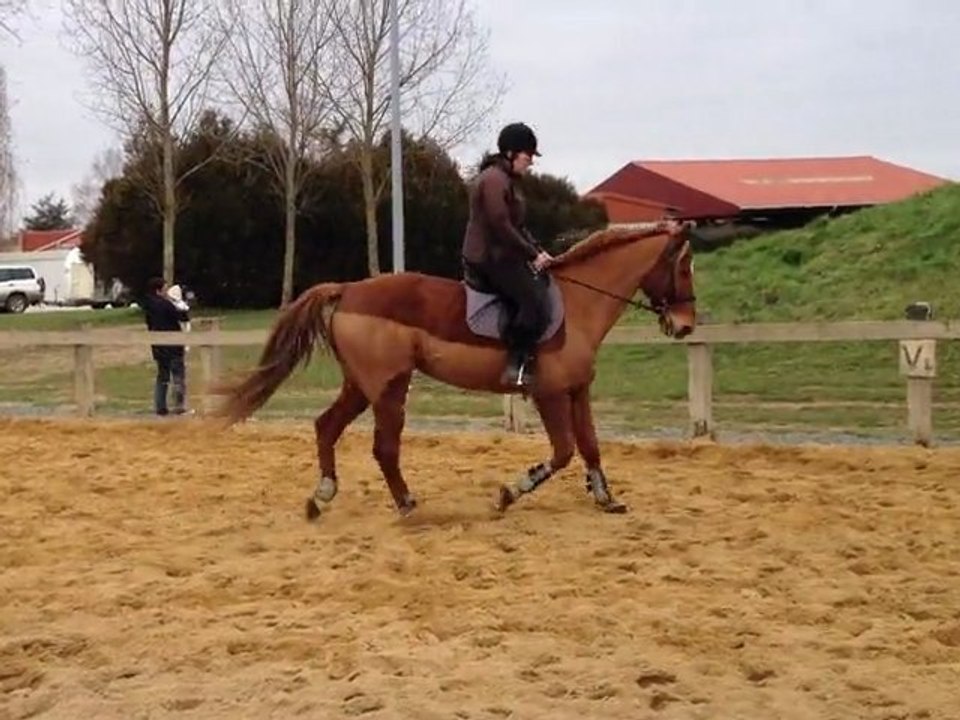 Essai Wine 3