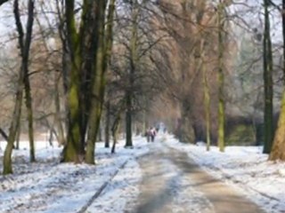 spotkanie z sarenkami