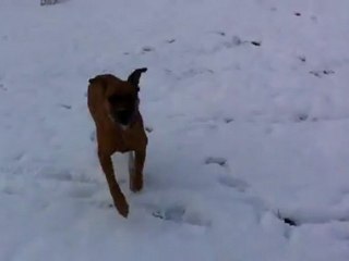 IMG_0385.MOV(480p_H.264-AAC)