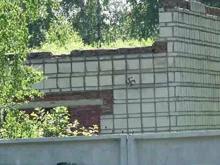 Нефть в обмен на ничего