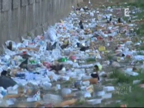 Envoyé Special - Punaises de lit - Partie 2