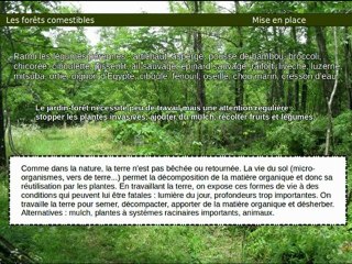 les forêts comestibles