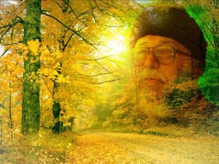 Ya Rab haberin nerden alalim