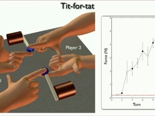Vitamin For Brain Supplement | Daniel Wolpert-Part-5