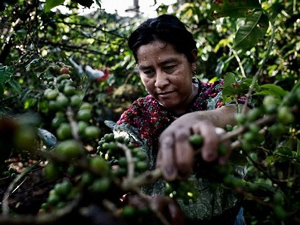 Entrevista a Maria Rosario López, CEPEDEM, Cojolá, Guatemala