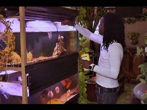 Louis Persil Lov Mwen Lov - Zook 2012