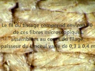 L'Evangile du Linceul de Turin. Vidéo 2