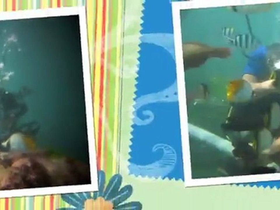 my first diving