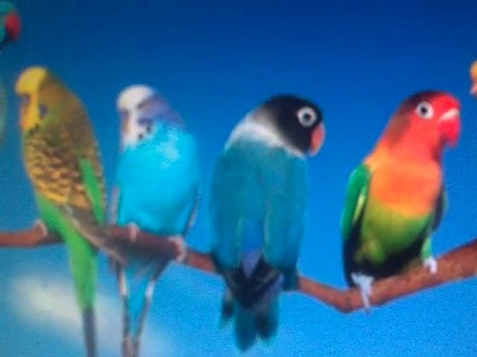 le 8eme oiseau chante c'est moi elie