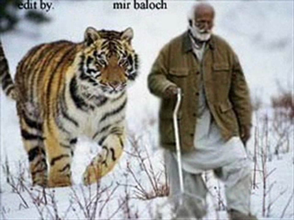 Bugti