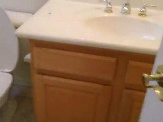 McDowell Mountain Ranch Homes