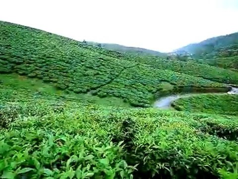 Voyage kerala Inde du sud avec Kst tours
