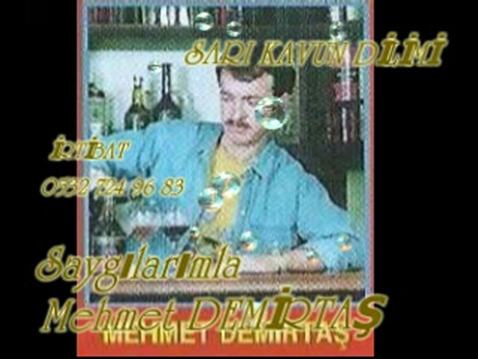 MEHMET DEMİRTAŞ SARI KAVUN