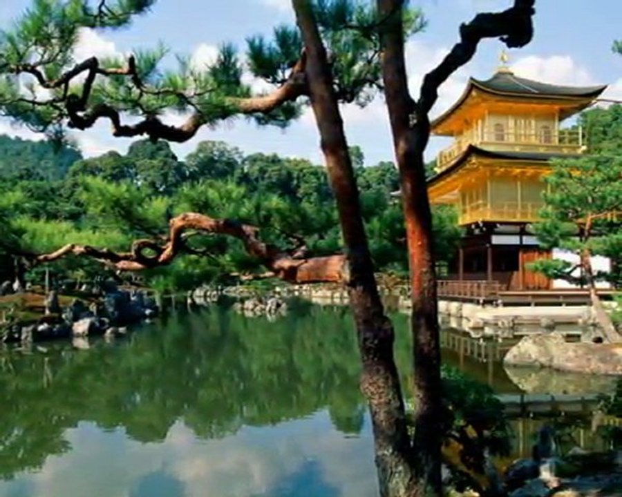 madam butterfly