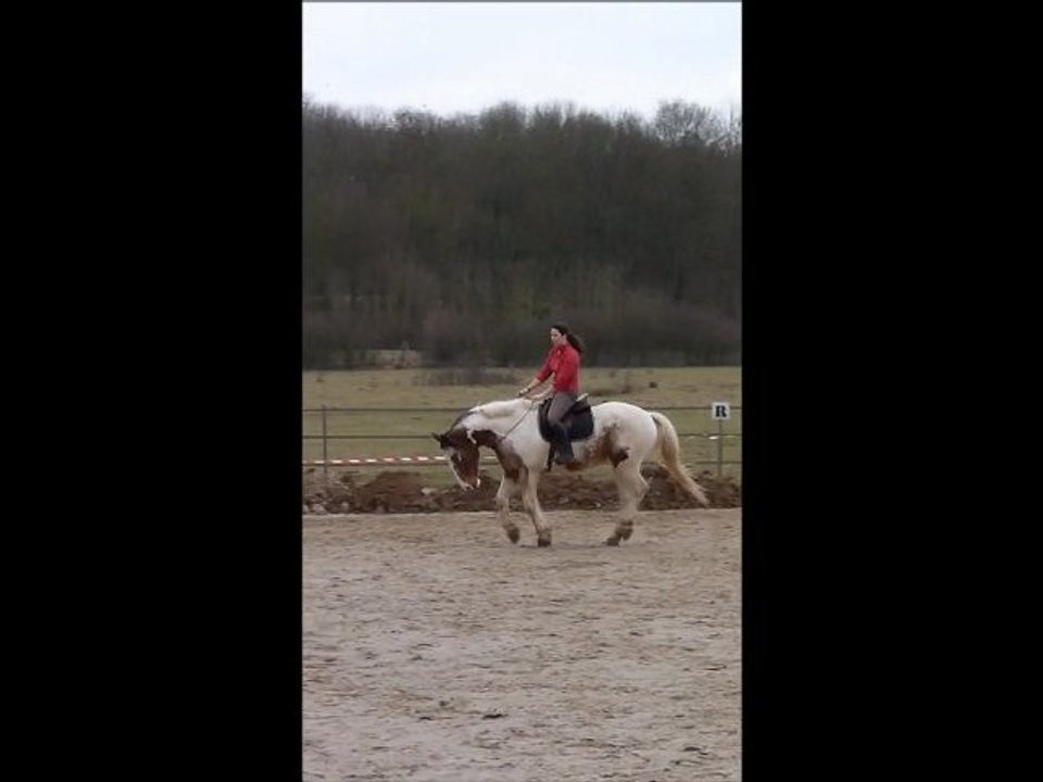 seance corde / licol le 10.03.12