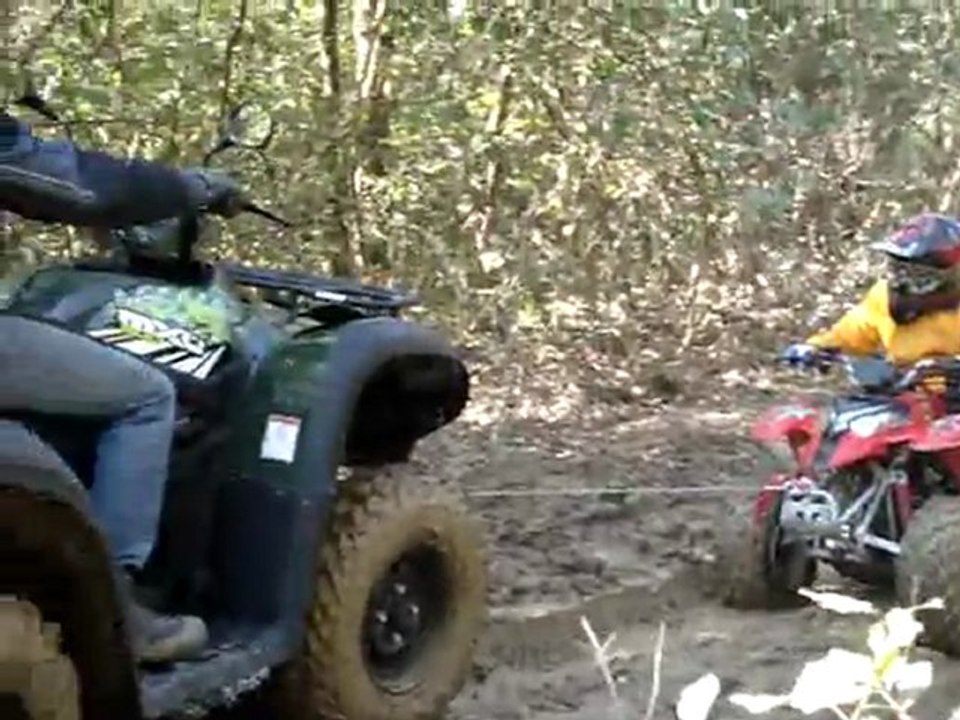 MOV09668