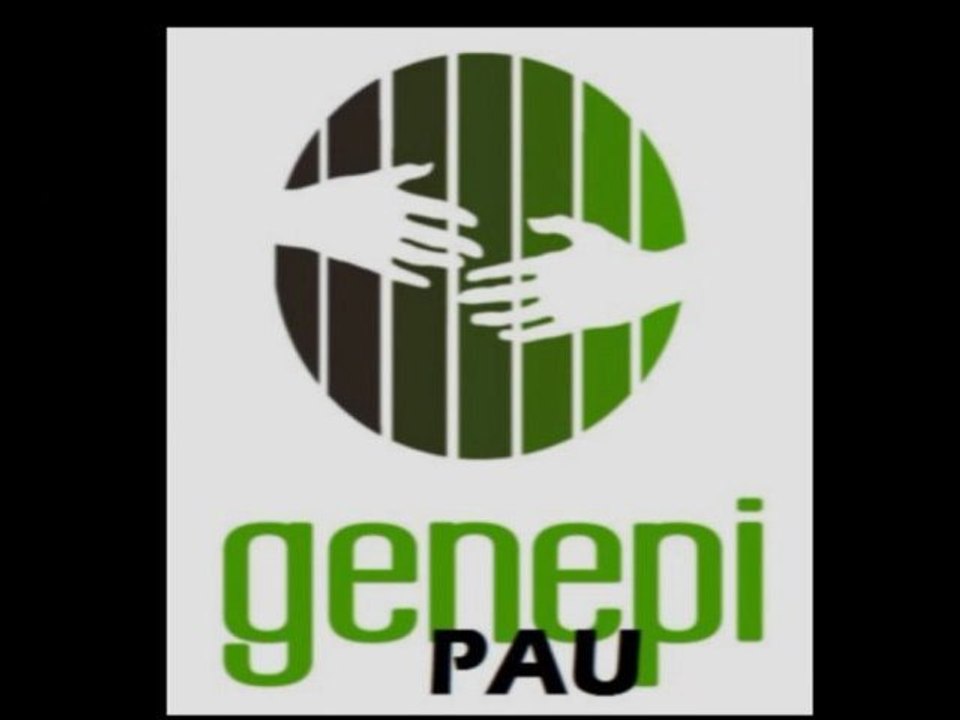Concert Miroir Genepi - Pau  08.03.12