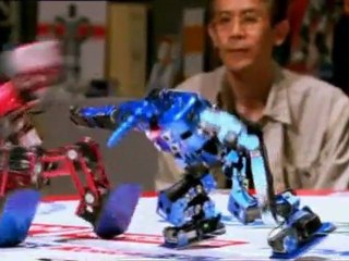 Zeme Sveta - Japonsko