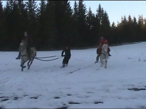 SKI JOËRING avec Le Col de la Molède à Cheval