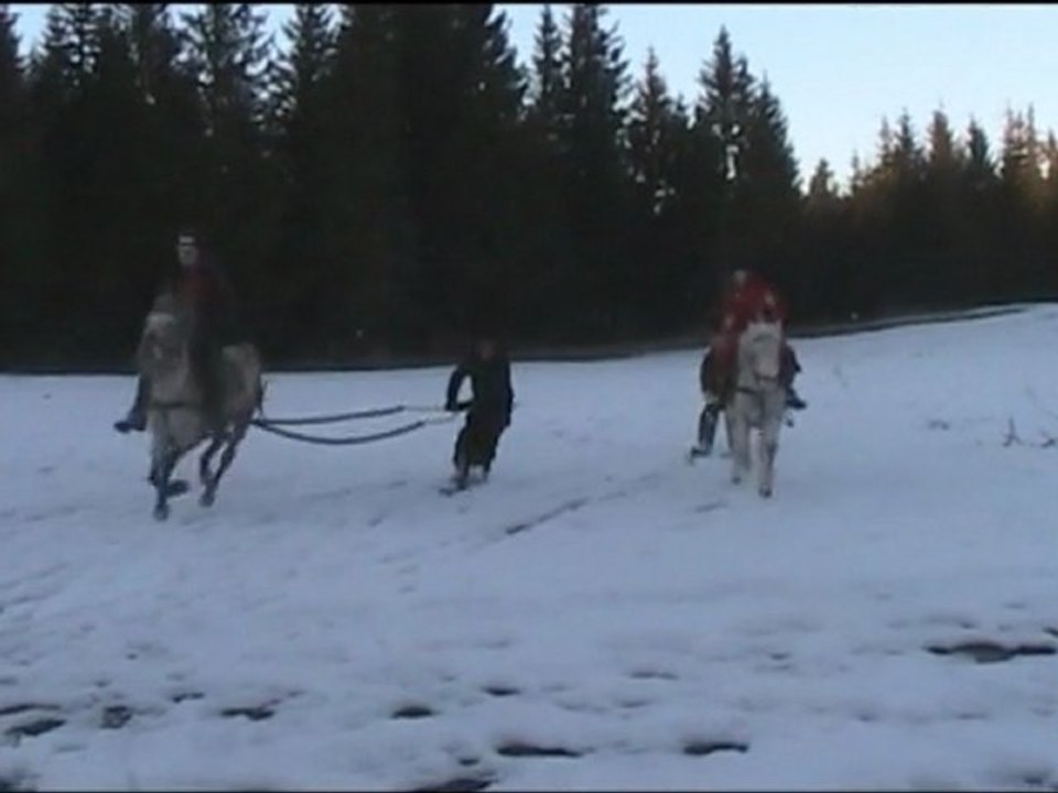 SKI JOËRING avec Le Col de la Molède à Cheval