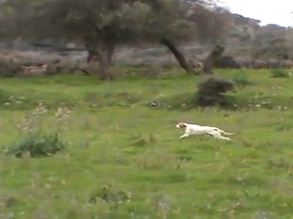 ARNO MEMIS DI KOS - CİCİ DEL AKGÜN