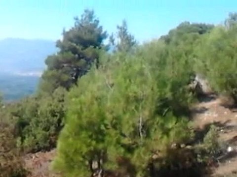 Hüseyingazi tepesinden köyümüz ve Niksar Ovası