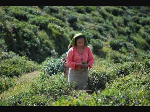 On a posé nos valises 2 INDIA