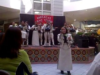 Mariachi Camarillo - Paloma Negra
