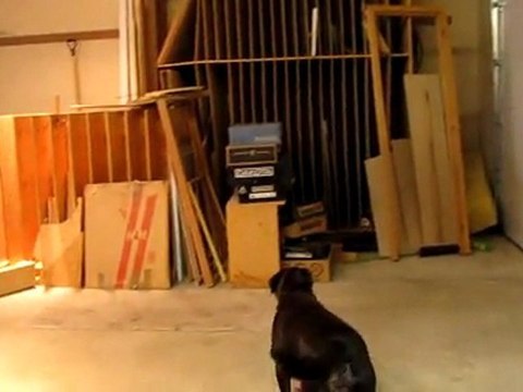 Garage Heater Pro's Calgary Gas 403 984 2646