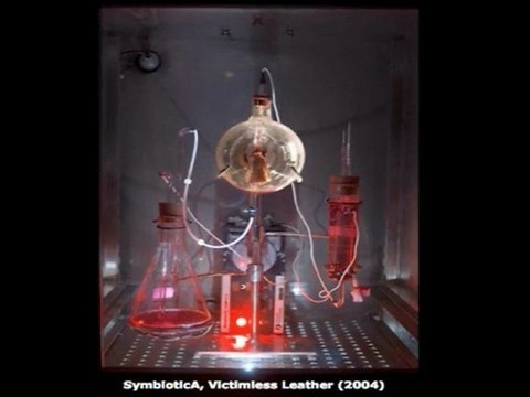 Vitamins For Brain Supplements | Paola Antonelli-Part-2