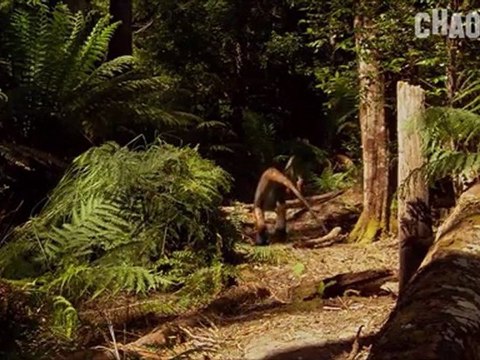 Vor 200 Millionen Jahren - Saurier Hautnah - Teil 1 _ Part 2 von 4