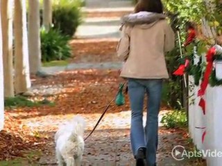 Saddle Ridge Apartments in Houston, TX - ForRent.com