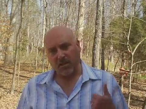 Charlotte NC Real Estate,Realtors Charlotte NC,Charlotte Real Estate