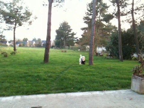 LES CALINS DE DIVINE A FARHA